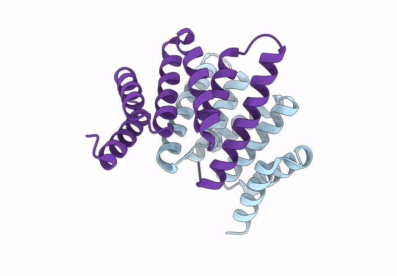 9AVB image