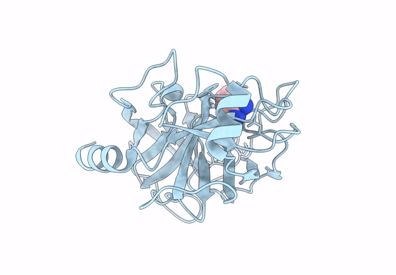 9AVZ image