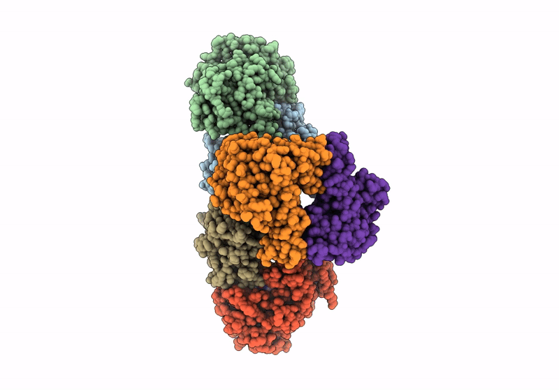 9AXA image