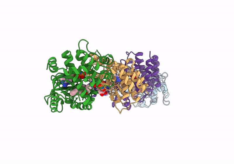 9AXH image