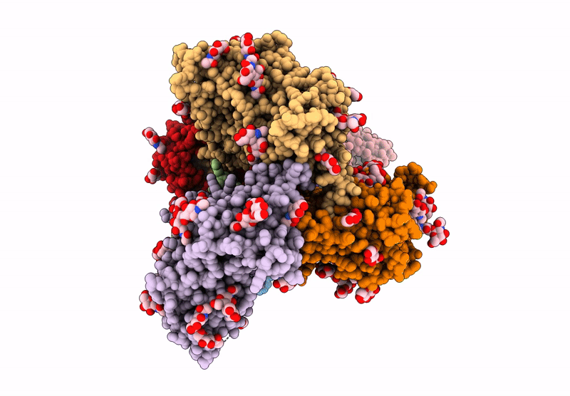 9AXI image
