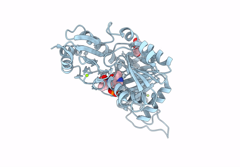 9AXJ image