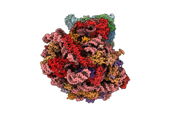 9AXT image
