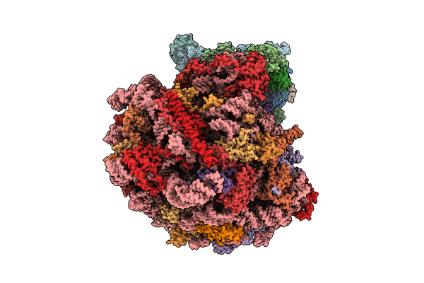 9AXV image
