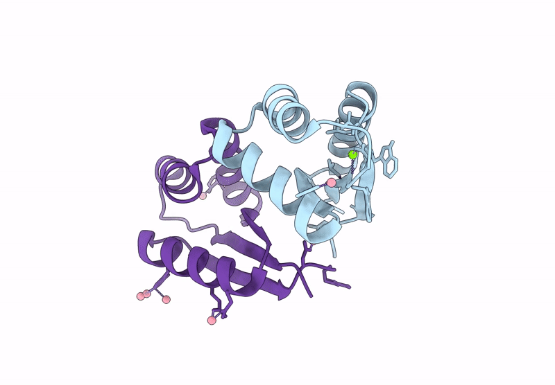 9AYP image