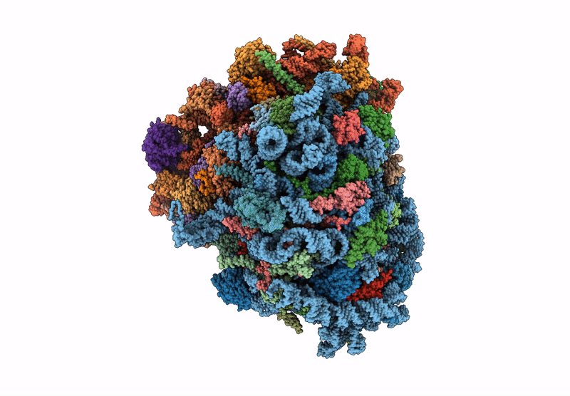 9AZC image