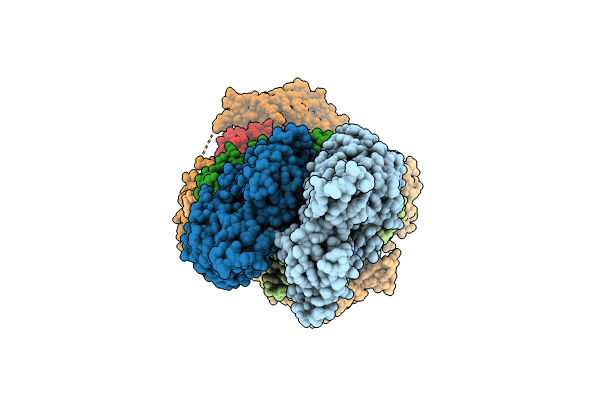 9AZP image