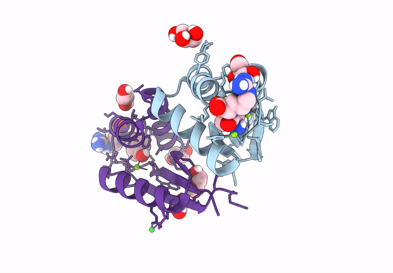 9B10 image