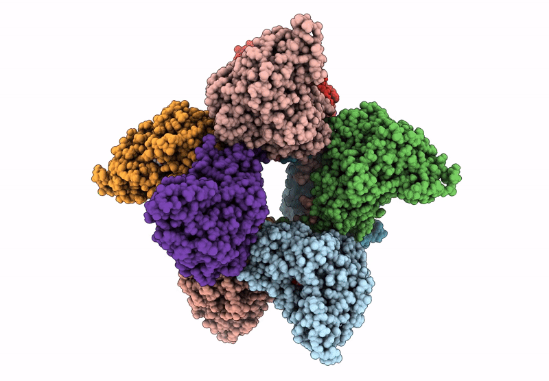 9B14 image