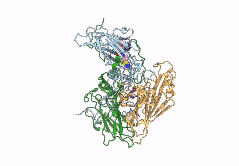 9B19 image