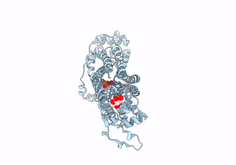 9B1J image