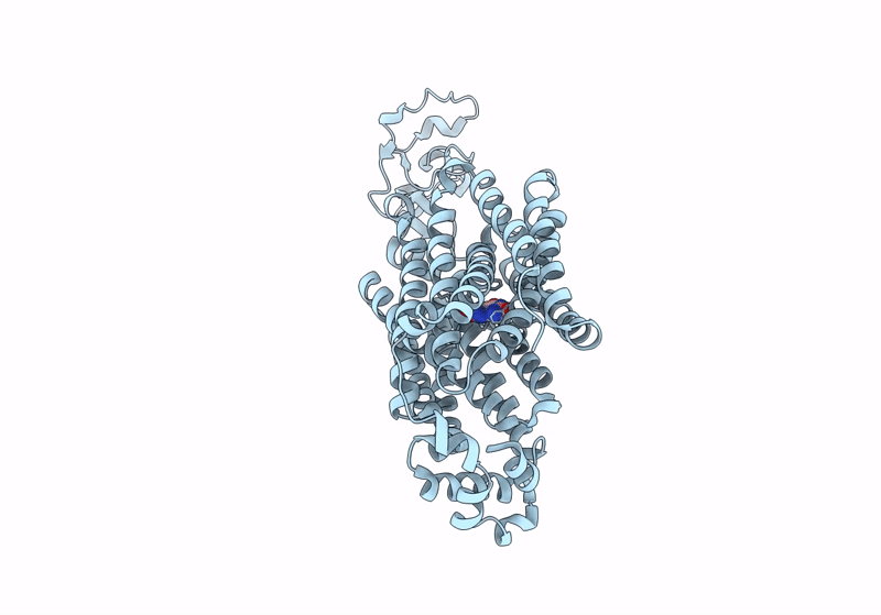 9B1K image
