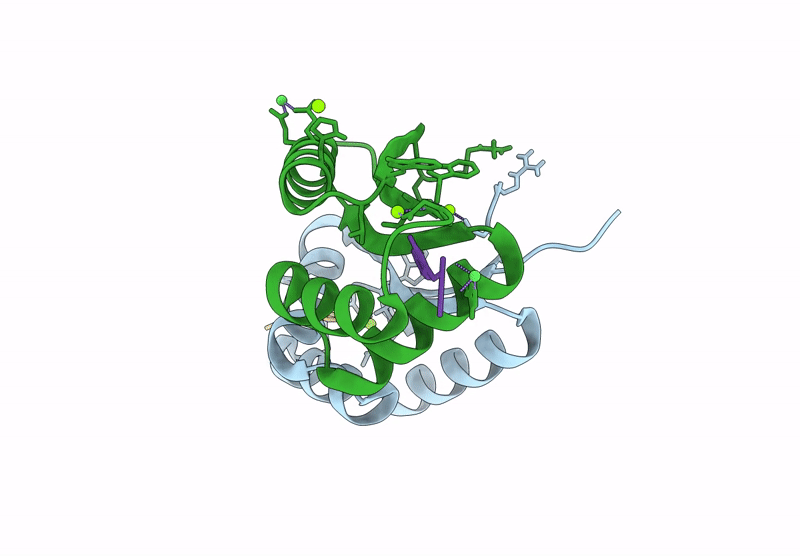 9B1P image