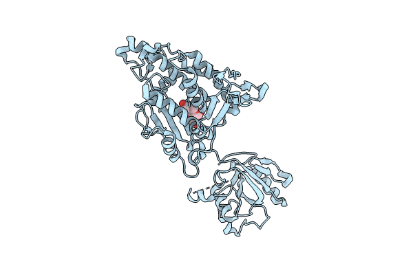 9B1R image
