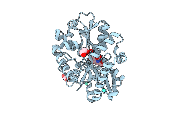 9B1V image