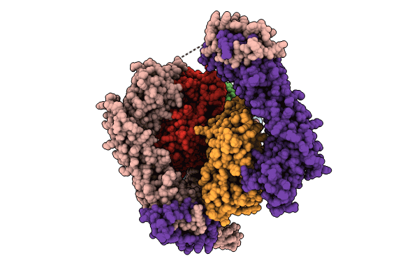 9B27 image
