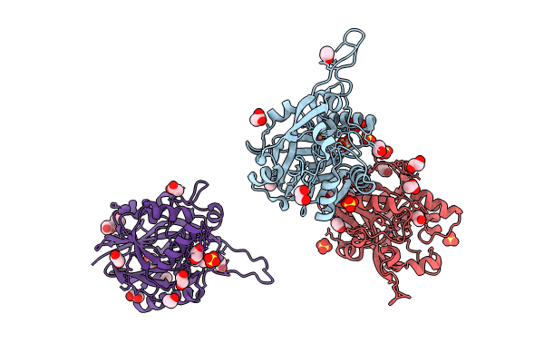 9B2I image