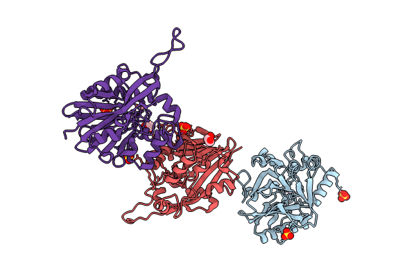 9B2P image