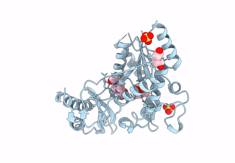 9B2Q image