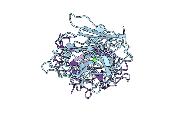 9B34 image