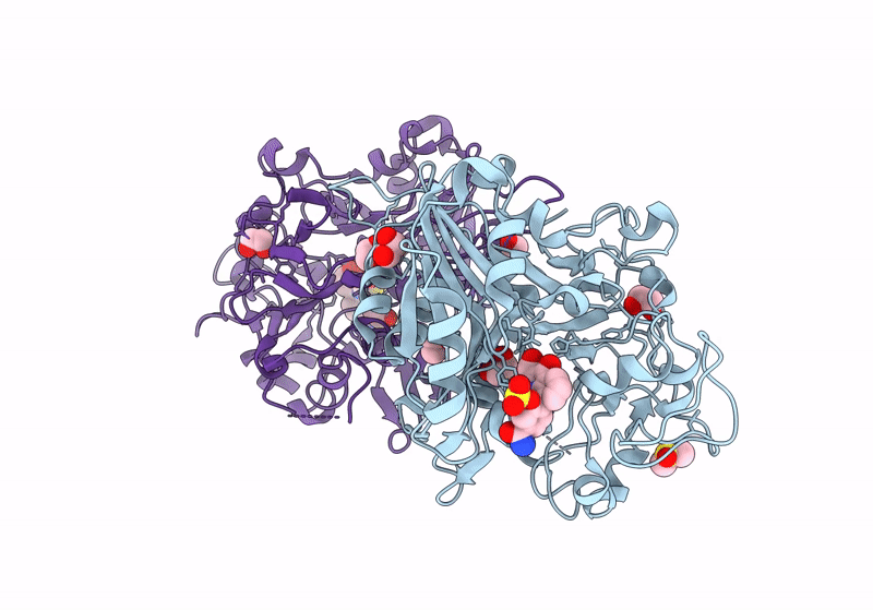 9B3B image