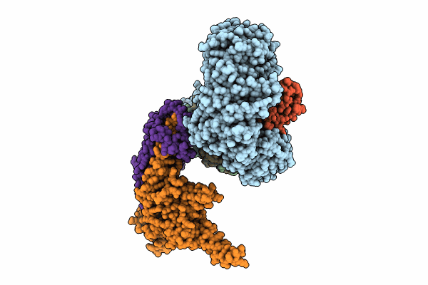 9B3I image