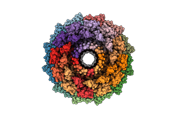 9B41 image