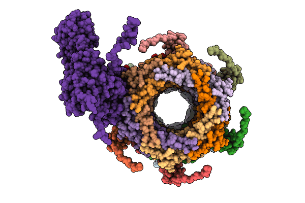9B42 image