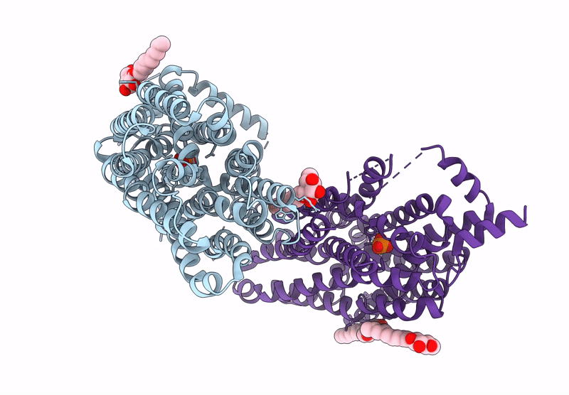 9B49 image