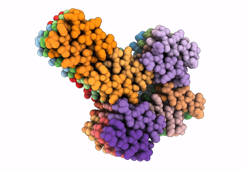 9B4I image