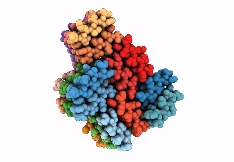 9B4J image