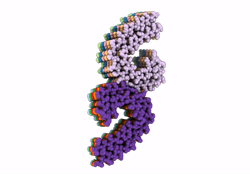 9B4N image
