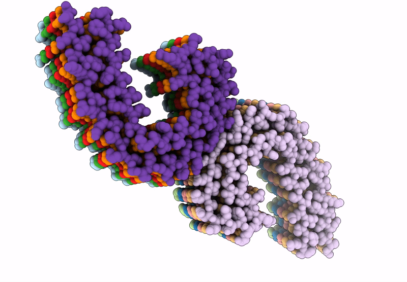 9B4O image