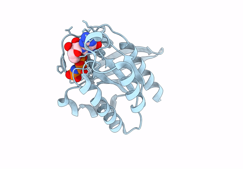 9B4Q image
