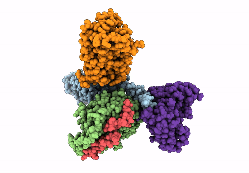 9B54 image