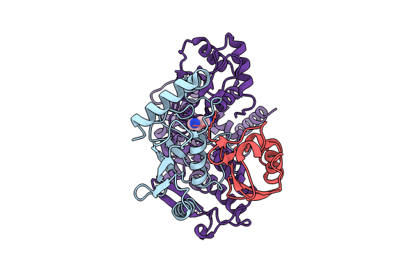 9B55 image