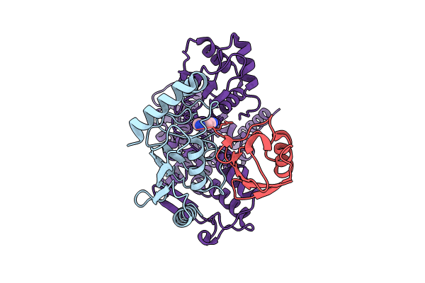 9B56 image