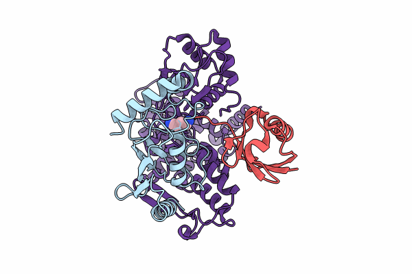 9B59 image