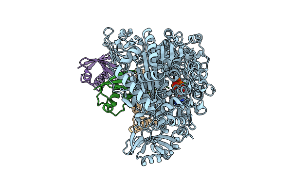 9B5D image