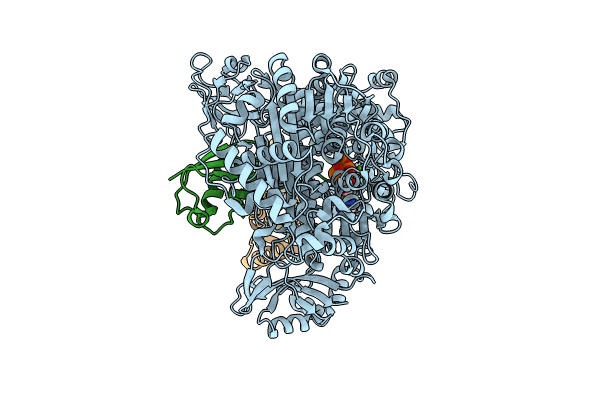 9B5I image