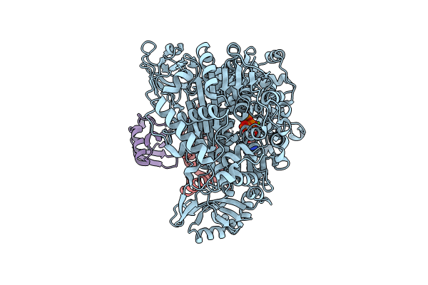 9B5O image