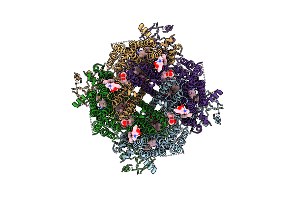9B6G image