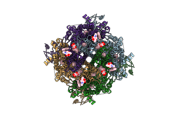 9B6H image