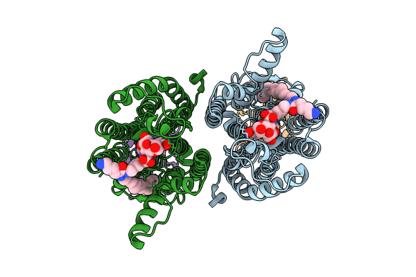 9B70 image