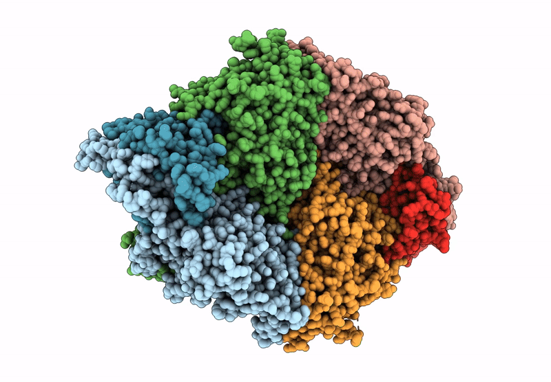 9B7K image