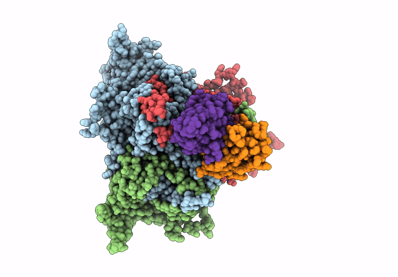 9B7U image