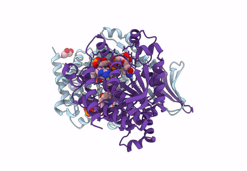9B81 image