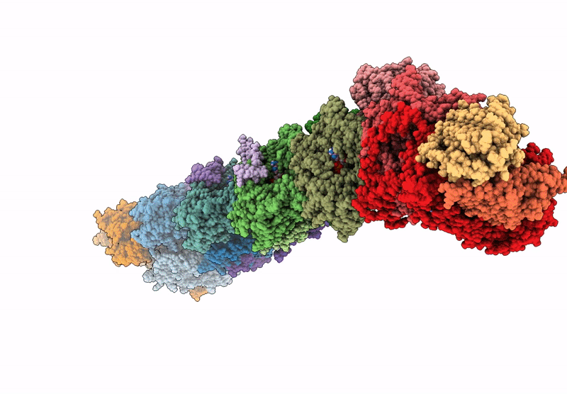9B85 image
