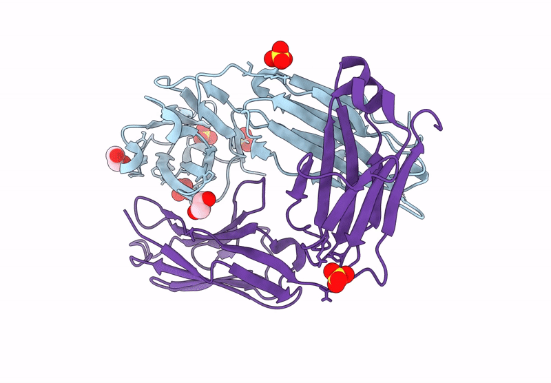 9B88 image