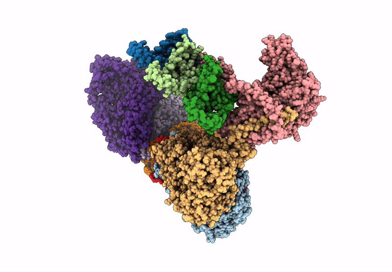 9B8V image